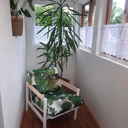 Homestay U Filipa *